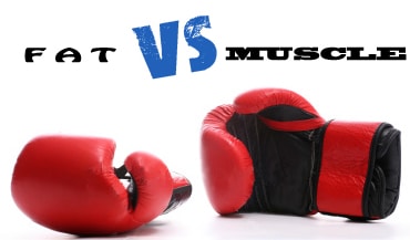 image of two boxing gloves with the heading fat vs muscle